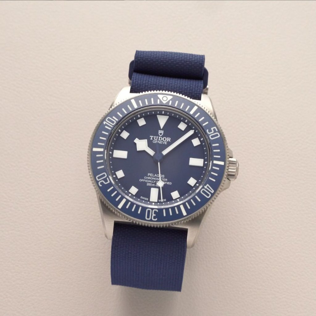 TUDOR Pelagos FXD Referenz M25707B:23 mit blauem Zifferblatt am blauen NATO-Band stehend vor hellem Hintergrund