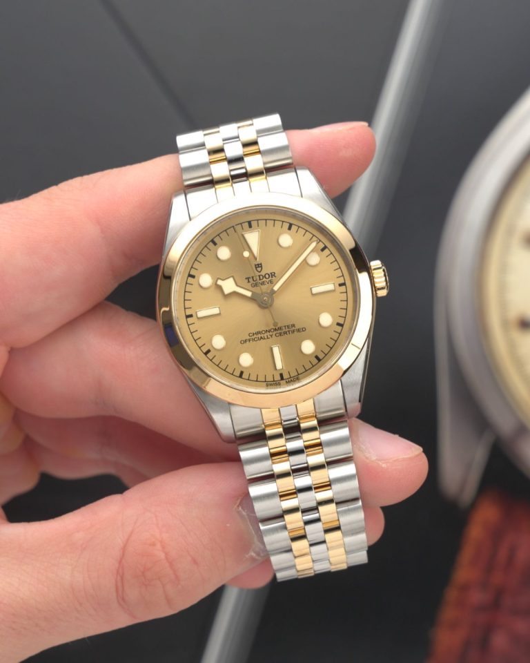 TUDOR Black Bay 36 S&G Referenz M79643-0005 mit champagnerfarbenem Zifferblatt am Edelstahlarmband in einer Hand gehalten mit einer abgebildeten Uhr im Hintergrund