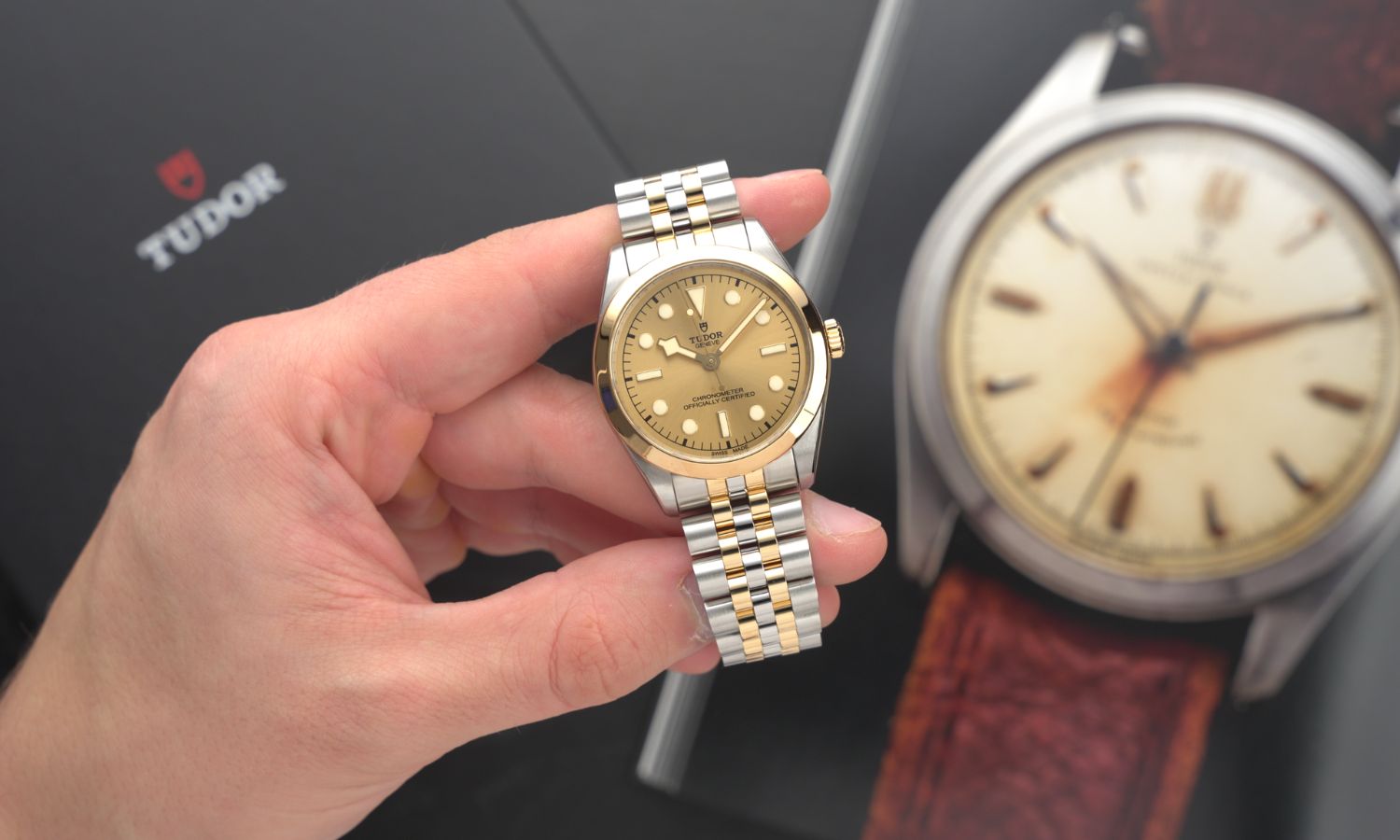 TUDOR Black Bay 36 S&G Referenz M79643-0005 mit champagnerfarbenem Zifferblatt am Edelstahlarmband in einer Hand gehalten mit einer abgebildeten Uhr im Hintergrund