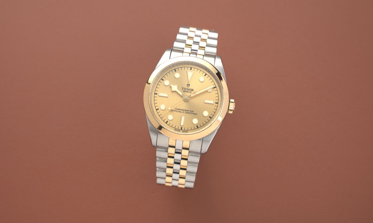 TUDOR Black Bay 36 S&G Referenz M79643-0005 mit champagnerfarbenem Zifferblatt am Edelstahlarmband stehend vor braunem Hintergrund