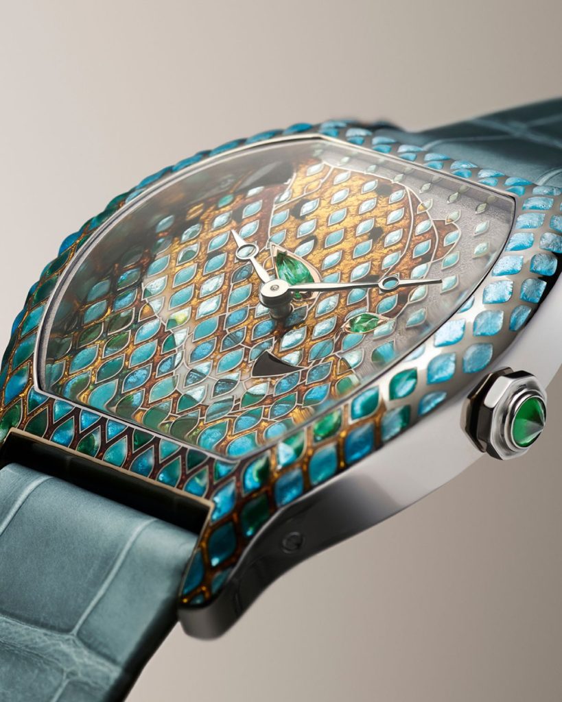 Nahaufnahme einer Tortue Panthère